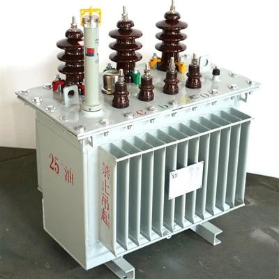 Transformador de potència immers en oli de 1000 KVA